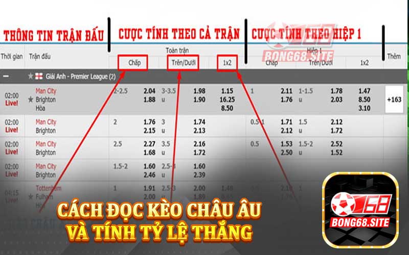 Cách đọc kèo châu Âu và tính tỷ lệ thắng